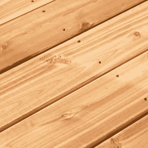 CEDAR